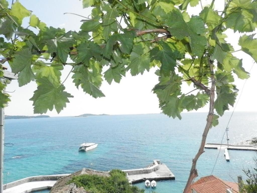 Villa Soti Mlini Buitenkant foto