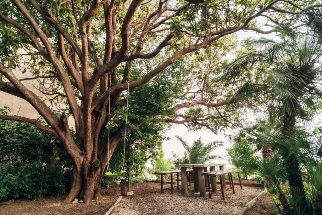 Villa Soti Mlini Buitenkant foto