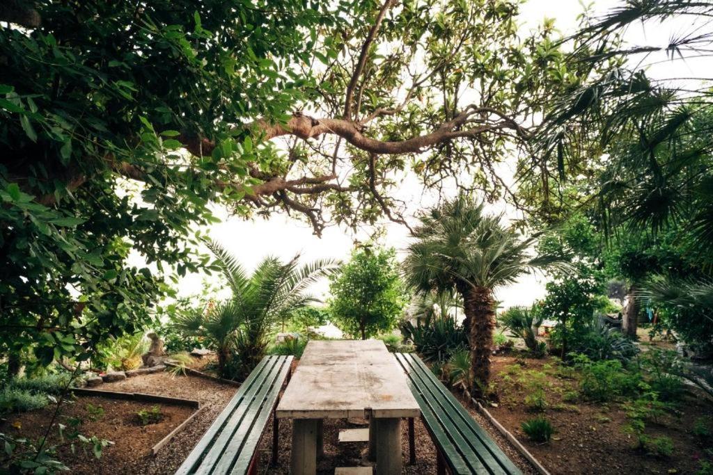 Villa Soti Mlini Buitenkant foto